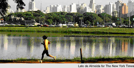 imagem4
