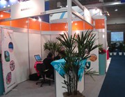 Lacime 2006