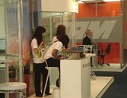 Lacime 2006